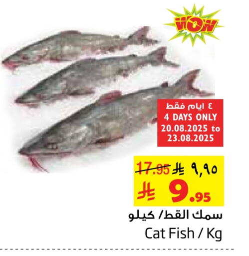 available at Layan Hyper in KSA, Saudi Arabia, Saudi - Al Khobar