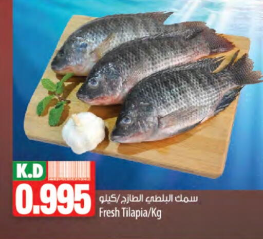 Mango available at مانجو هايبرماركت in الكويت - مدينة الكويت