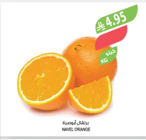 Orange available at Farm  in KSA, Saudi Arabia, Saudi - Abha
