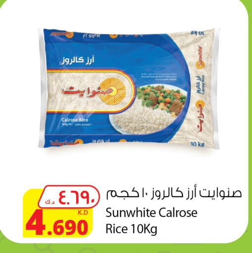 أرز كالروز available at شركة المنتجات الزراعية الغذائية in الكويت - محافظة الجهراء