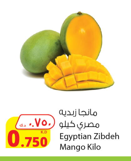 Mangoes from Egypt available at Agricultural Food Products Co. in Kuwait - Kuwait City