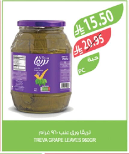 available at Farm  in KSA, Saudi Arabia, Saudi - Abha