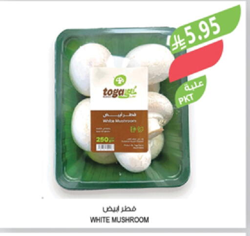 Mushroom available at Farm  in KSA, Saudi Arabia, Saudi - Sakaka