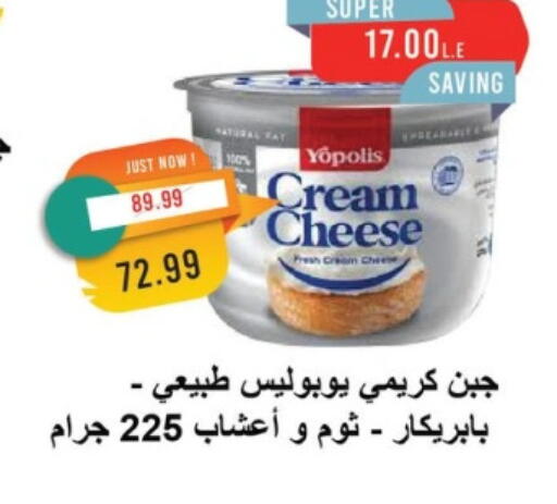 جبنة كريمية available at مترو ماركت in Egypt - القاهرة