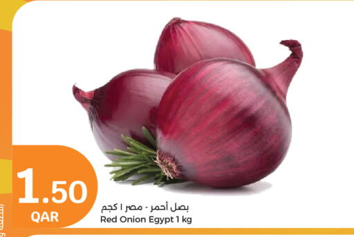 Onion from Egypt available at سيتي هايبرماركت in قطر - الوكرة