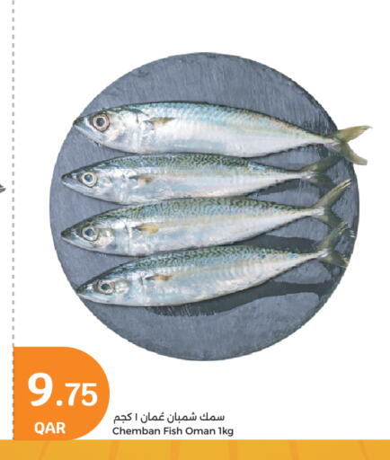 available at سيتي هايبرماركت in قطر - الدوحة