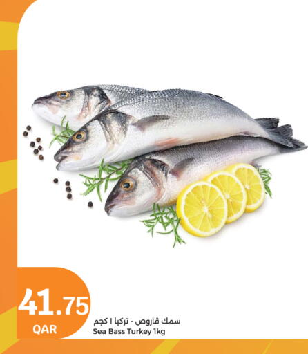 available at سيتي هايبرماركت in قطر - الدوحة