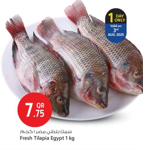 available at سفاري هايبر ماركت in قطر - الدوحة
