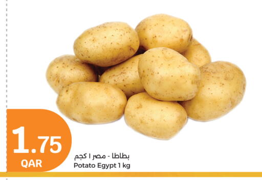Potato from Egypt available at City Hypermarket in Qatar - Umm Salal