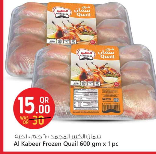 available at سفاري هايبر ماركت in قطر - الشحانية