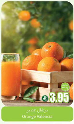 Orange available at Othaim Markets in KSA, Saudi Arabia, Saudi - Abha
