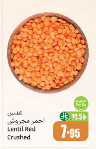 available at Othaim Markets in KSA, Saudi Arabia, Saudi - Ar Rass