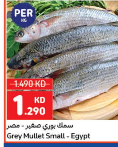 available at كارفور in الكويت - مدينة الكويت