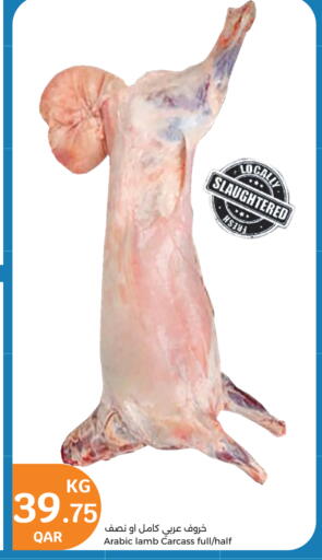 Mutton / Lamb available at City Hypermarket in Qatar - Doha