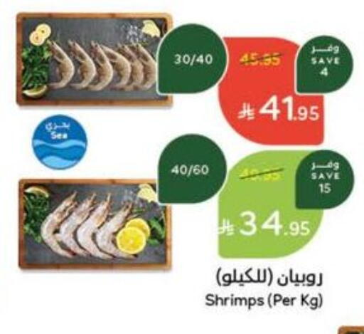 available at هايبر بنده in مملكة العربية السعودية, السعودية, سعودية - حائل‎