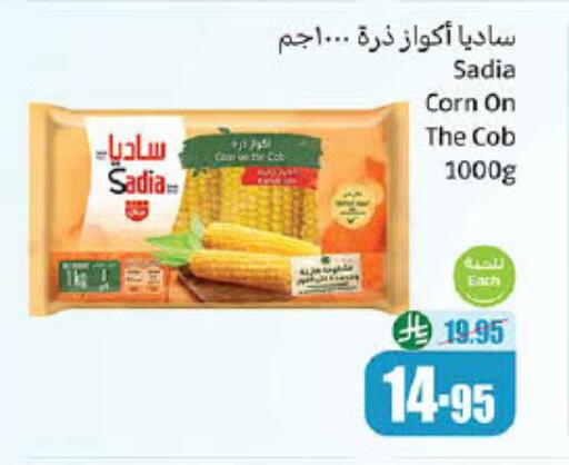 SADIA available at Othaim Markets in KSA, Saudi Arabia, Saudi - Az Zulfi