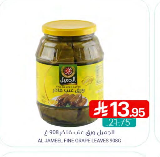 available at Muntazah Markets in KSA, Saudi Arabia, Saudi - Qatif