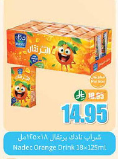 NADEC available at Othaim Markets in KSA, Saudi Arabia, Saudi - Jazan