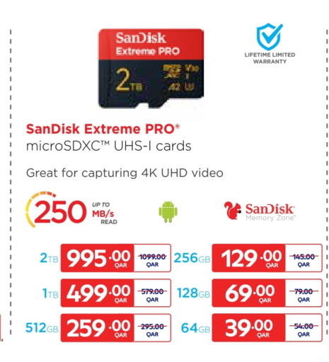 SANDISK Flash Drive available at Carrefour in Qatar - Al Wakra