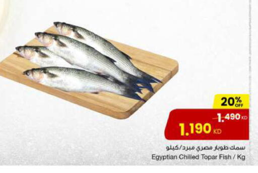 available at مركز سلطان in الكويت - مدينة الكويت