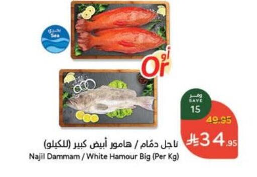 available at هايبر بنده in مملكة العربية السعودية, السعودية, سعودية - حائل‎