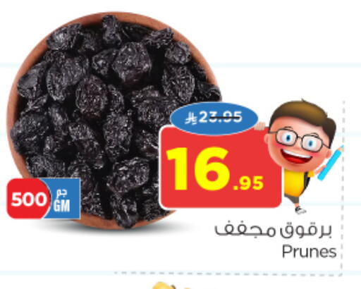 available at نستو in مملكة العربية السعودية, السعودية, سعودية - الخبر‎