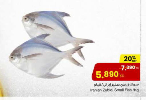 available at مركز سلطان in الكويت - مدينة الكويت