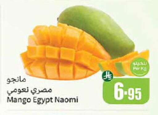 Mangoes from Egypt available at Othaim Markets in KSA, Saudi Arabia, Saudi - Najran