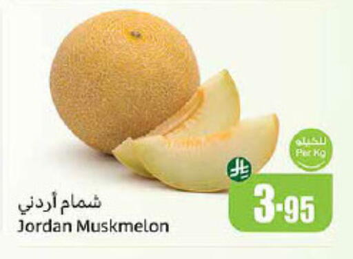 Sweet melon from Jordan available at Othaim Markets in KSA, Saudi Arabia, Saudi - Bishah