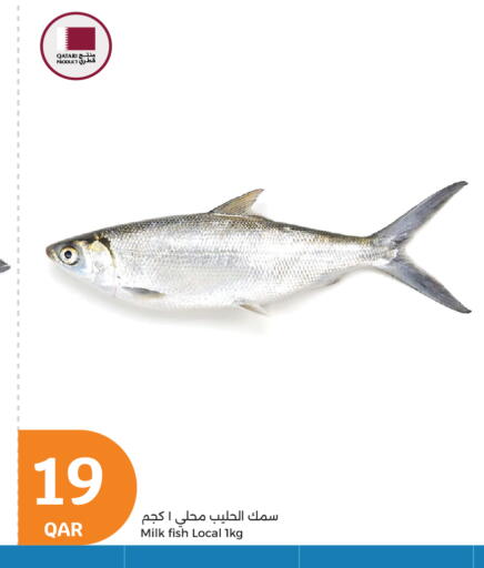 available at سيتي هايبرماركت in قطر - أم صلال