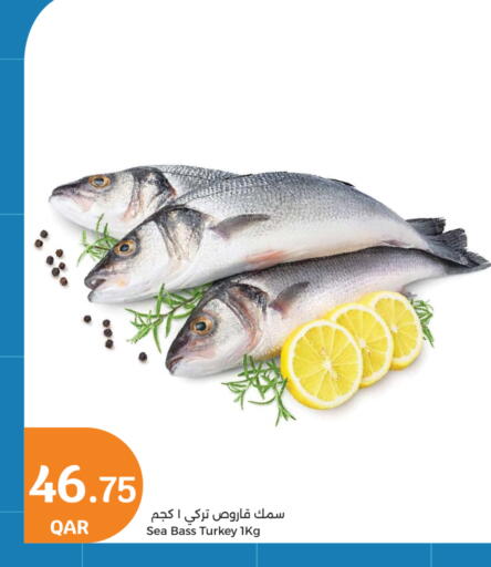 available at سيتي هايبرماركت in قطر - أم صلال