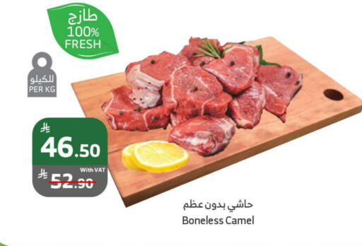 لحم حاشي available at الراية in مملكة العربية السعودية, السعودية, سعودية - تبوك