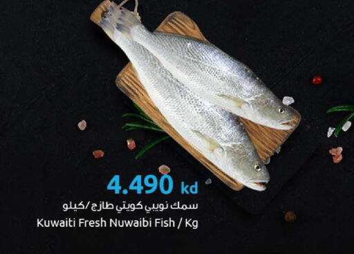 available at مركز سلطان in الكويت - مدينة الكويت
