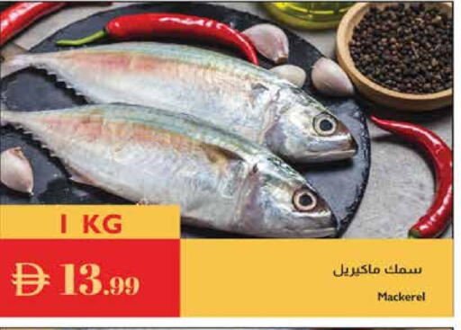 available at إسطنبول سوبرماركت in الإمارات العربية المتحدة , الامارات - ٱلْعَيْن‎