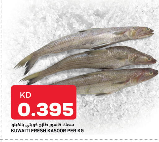 available at أونكوست in الكويت - مدينة الكويت
