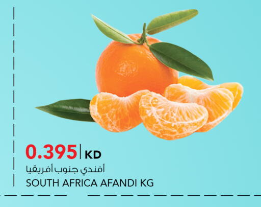 Orange from South Africa available at  ALNASSER HYPERMARKET in Kuwait - Ahmadi Governorate