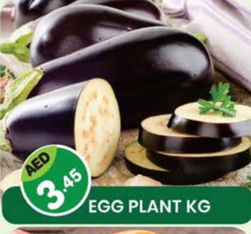 available at Fresh Spike Supermarket in UAE - Dubai