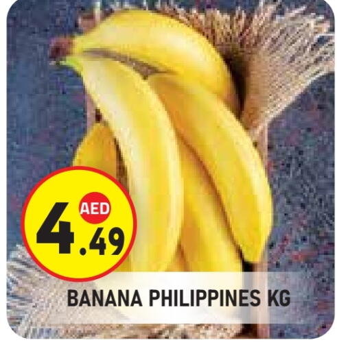 Banana from Philippines available at Baniyas Spike  in UAE - Al Ain