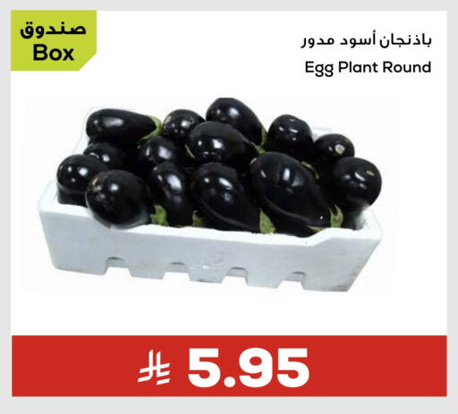 available at أسواق أسترا in مملكة العربية السعودية, السعودية, سعودية - تبوك