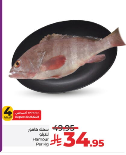 available at لولو هايبرماركت in مملكة العربية السعودية, السعودية, سعودية - مكة المكرمة