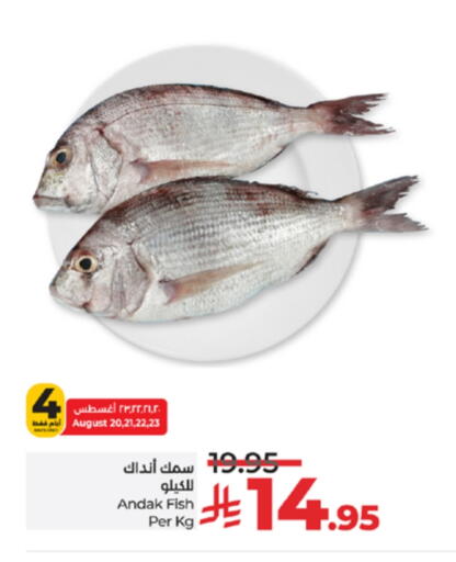 available at لولو هايبرماركت in مملكة العربية السعودية, السعودية, سعودية - مكة المكرمة