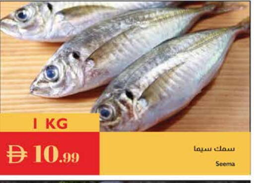 available at إسطنبول سوبرماركت in الإمارات العربية المتحدة , الامارات - ٱلْعَيْن‎