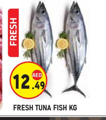 تونة available at سنابل بني ياس in الإمارات العربية المتحدة , الامارات - ٱلْعَيْن‎