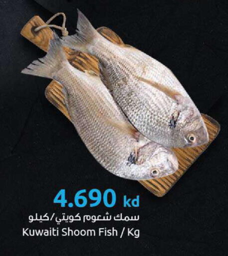 available at مركز سلطان in الكويت - مدينة الكويت