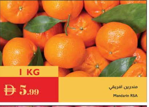 Orange available at Istanbul Supermarket in UAE - Al Ain