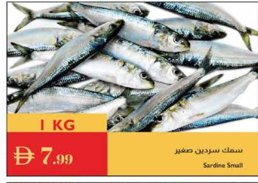 available at إسطنبول سوبرماركت in الإمارات العربية المتحدة , الامارات - ٱلْعَيْن‎