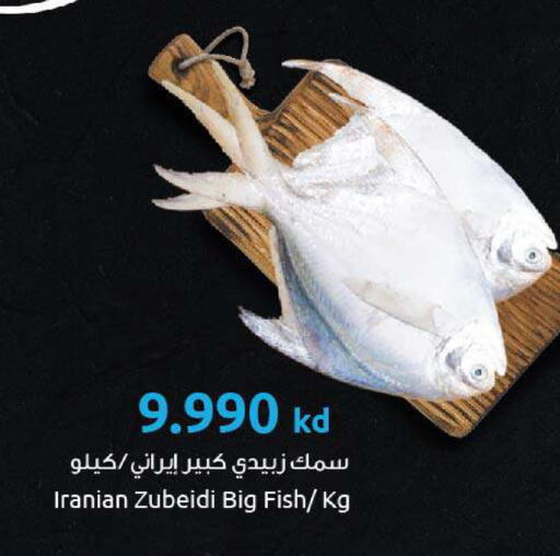 available at مركز سلطان in الكويت - مدينة الكويت