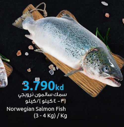available at مركز سلطان in الكويت - مدينة الكويت