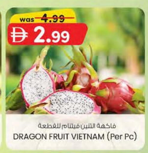 Dragon Fruit from Vietnam available at Safa Express Supermarket in UAE - Al Ain