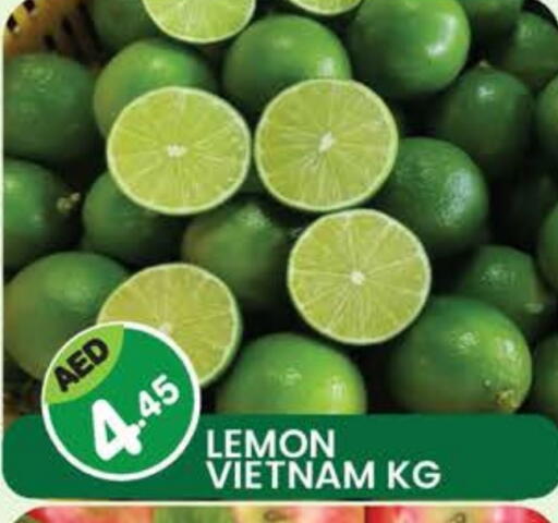 Lemon from Vietnam available at Fresh Spike Supermarket in UAE - Dubai